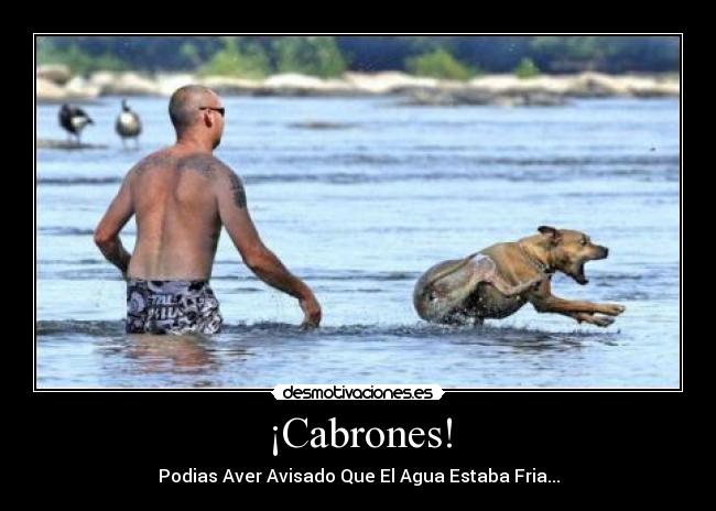 ¡Cabrones! - Podias Aver Avisado Que El Agua Estaba Fria...