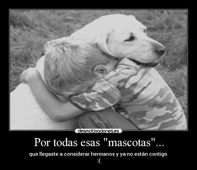 Por todas esas mascotas... -