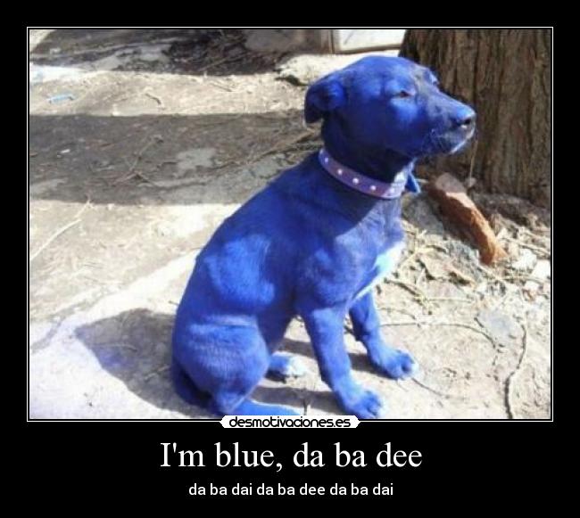 Im blue, da ba dee - 