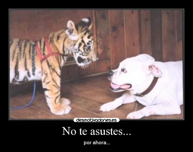 No te asustes... -