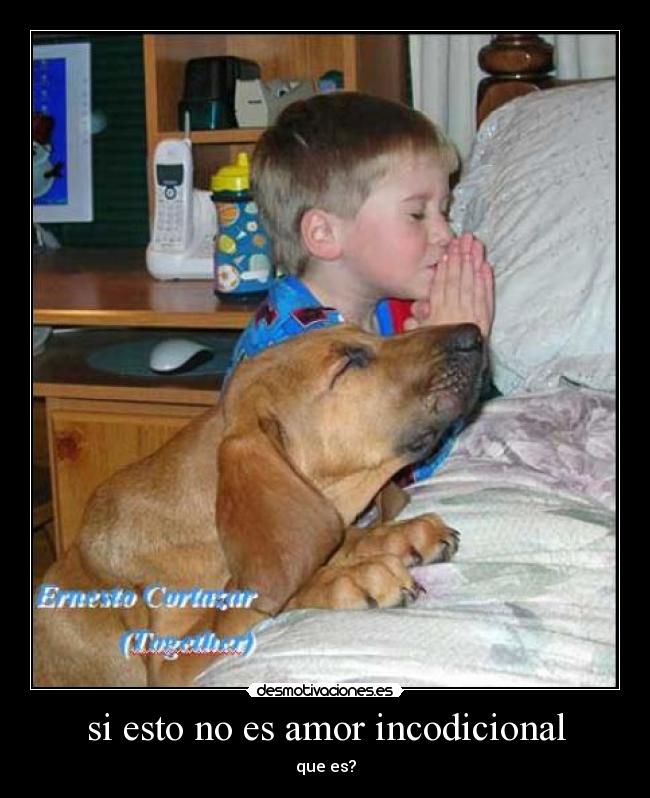 si esto no es amor incodicional - que es?