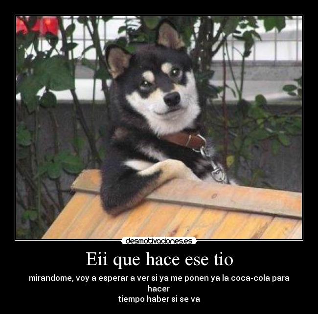 Eii que hace ese tio - mirandome, voy a esperar a ver si ya me ponen ya la coca-cola para hacer 
tiempo haber si se va