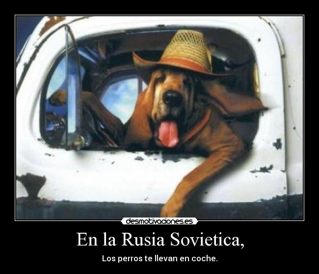 En la Rusia Sovietica, - Los perros te llevan en coche.