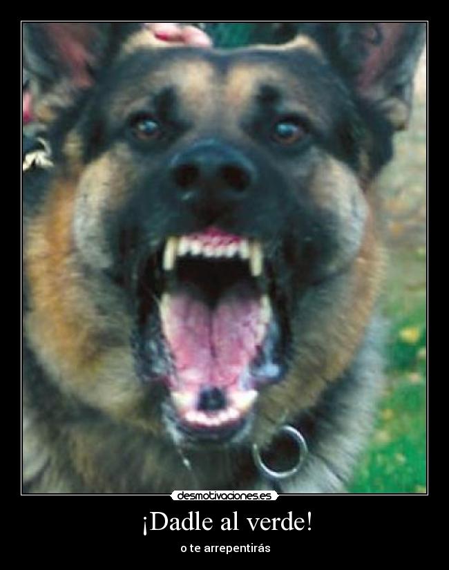 ¡Dadle al verde! - o te arrepentirás