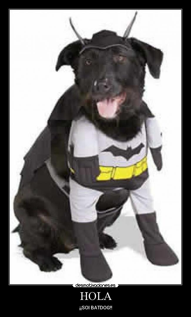 HOLA - ¡¡SOI BATDOG!!