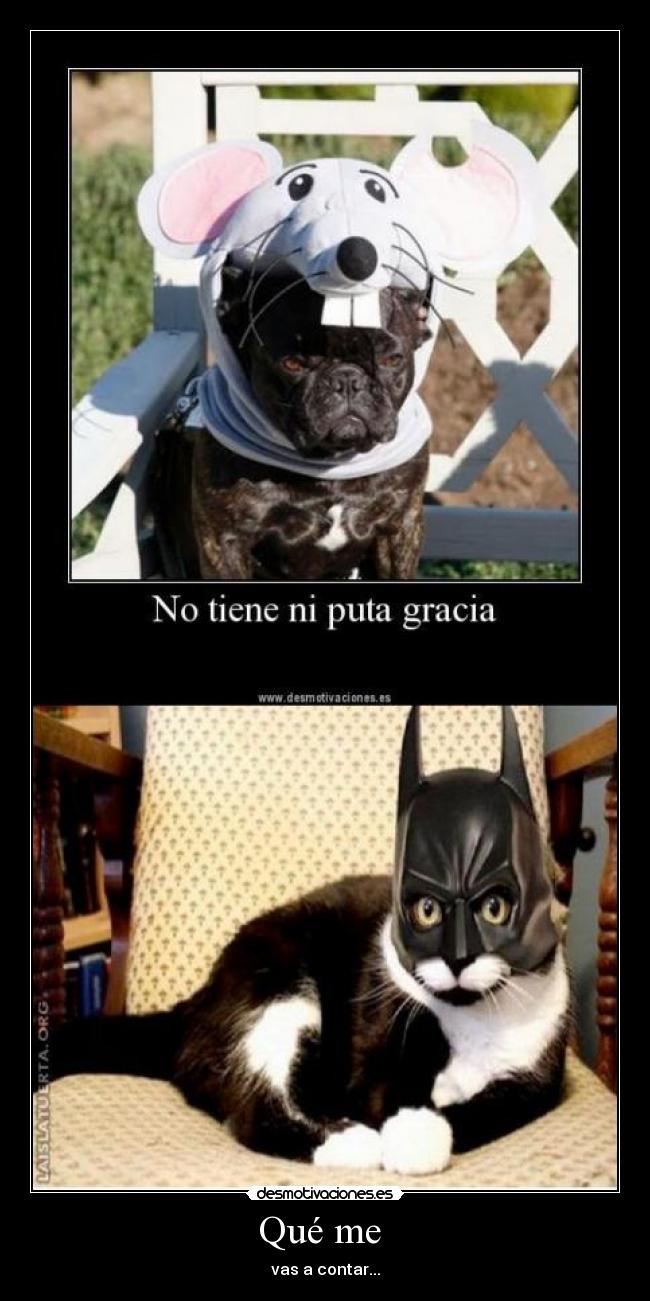 Qué me - vas a contar...