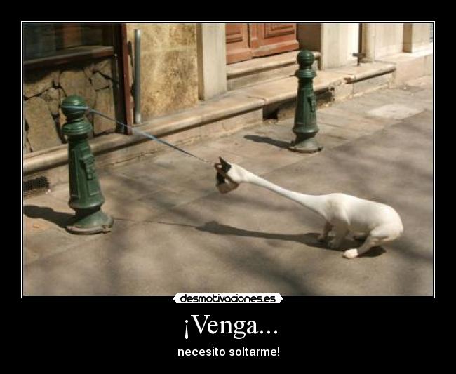 ¡Venga... - necesito soltarme!