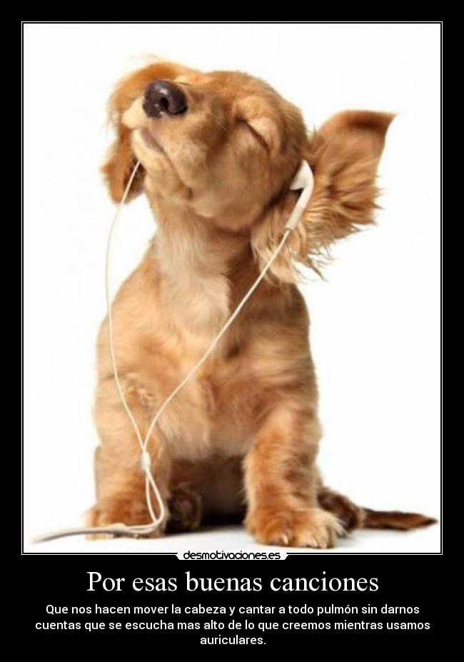 Por esas buenas canciones - 