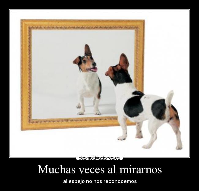 carteles desmotivaciones