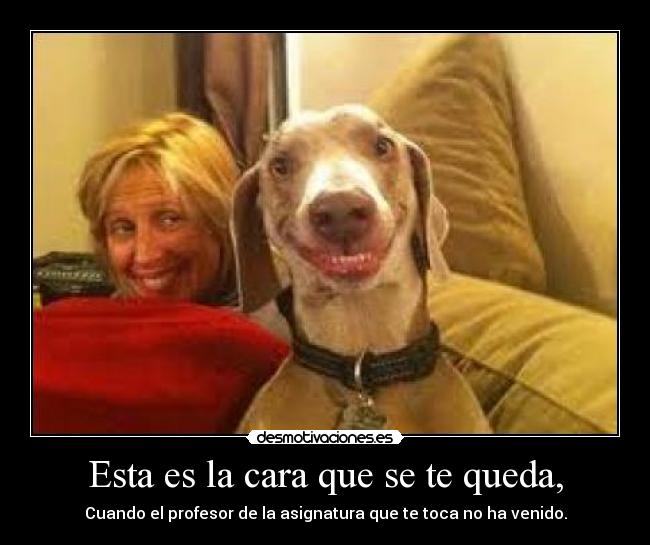 Esta es la cara que se te queda, - Cuando el profesor de la asignatura que te toca no ha venido.