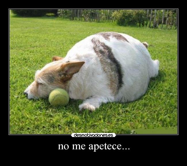 no me apetece... - 