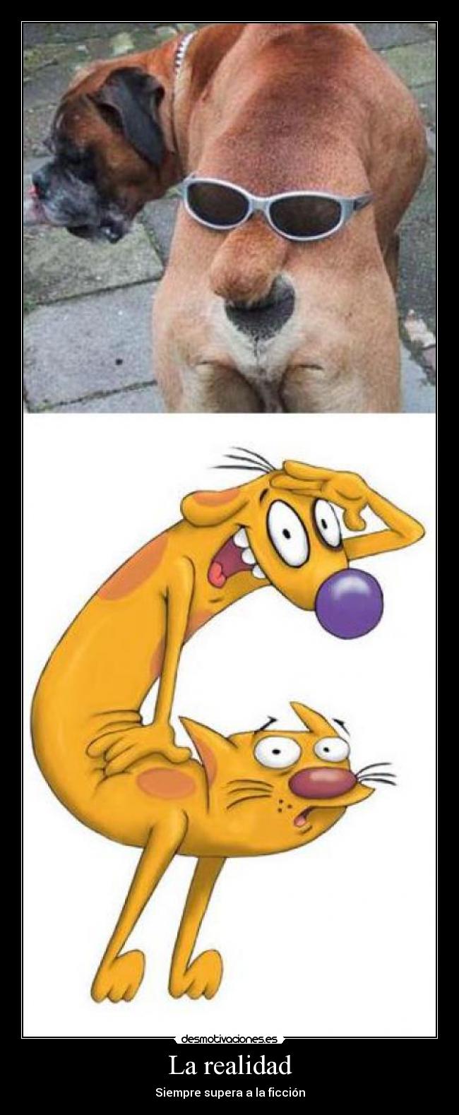 La realidad - Siempre supera a la ficción