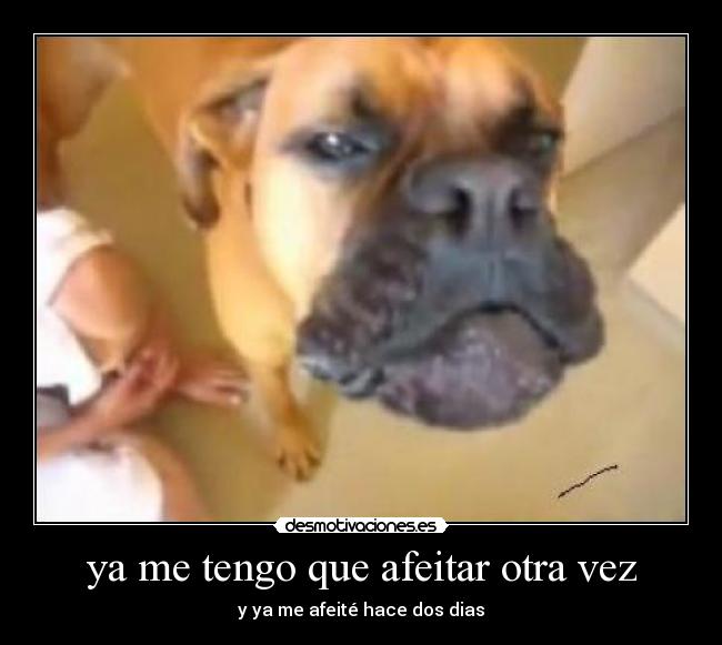 ya me tengo que afeitar otra vez - y ya me afeité hace dos dias