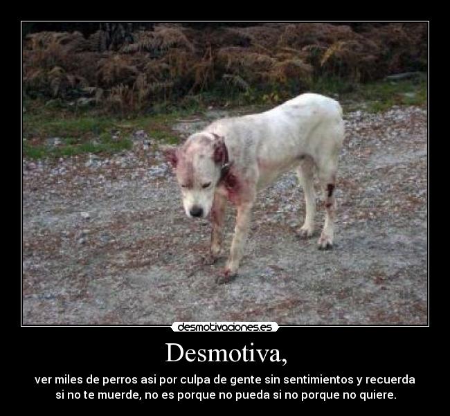 Desmotiva, -