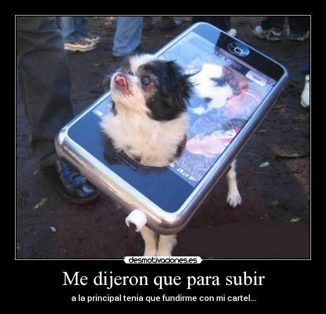 carteles perro iphone desmotivaciones
