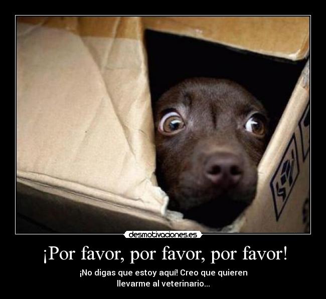 carteles pantera11 desmotivaciones