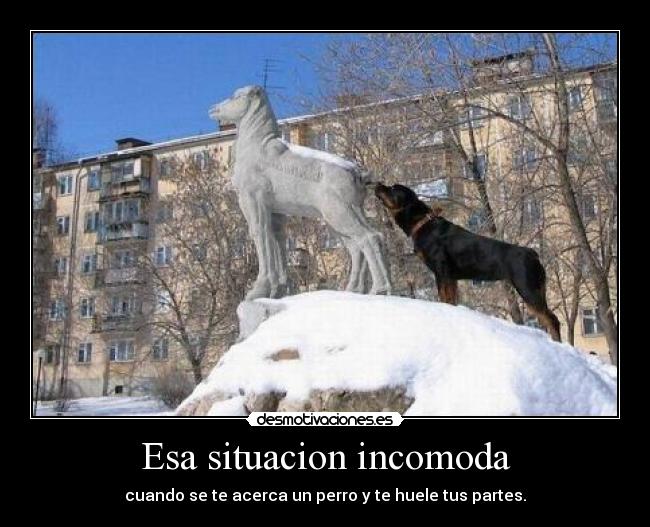 Esa situacion incomoda - 
