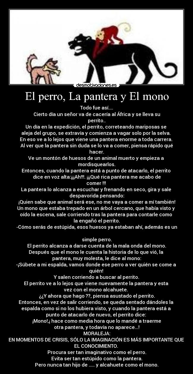 El perro, La pantera y El mono - Todo fue así....
Cierto día un señor va de cacería al África y se lleva su perrito..
Un día en la expedición, el perrito, correteando mariposas se
aleja del grupo, se extravía y comienza a vagar solo por la selva.
En eso ve a lo lejos que viene una pantera enorme a toda carrera.
Al ver que la pantera sin duda se lo va a comer, piensa rápido qué
hacer.
Ve un montón de huesos de un animal muerto y empieza a
mordisquearlos.
Entonces, cuando la pantera está a punto de atacarlo, el perrito
dice en voz alta:¡¡¡Ah!!!. ¡¡¡Qué rica pantera me acabo de comer !!!
La pantera lo alcanza a escuchar y frenando en seco, gira y sale
despavorida pensando:
¡Quien sabe que animal será ese, no me vaya a comer a mí también!
Un mono que estaba trepado en un árbol cercano, que había visto y
oído la escena, sale corriendo tras la pantera para contarle como
la engañó el perrito.
-Cómo serás de estúpida, esos huesos ya estaban ahí, además es un
simple perro.
El perrito alcanza a darse cuenta de la mala onda del mono.
Después que el mono le cuenta la historia de lo que vió, la
pantera, muy molesta, le dice al mono:
-¡Súbete a mi espalda, vamos donde ese perro a ver quién se come a
quién!
Y salen corriendo a buscar al perrito.
El perrito ve a lo lejos que viene nuevamente la pantera y esta
vez con el mono alcahuete.
¿¿Y ahora que hago ??, piensa asustado el perrito.
Entonces, en vez de salir corriendo, se queda sentado dándoles la
espalda como si no los hubiera visto, y cuando la pantera está a
punto de atacarlo de nuevo, el perrito dice:
¡Mono!,¡ hace como media hora que lo mandé a traerme
otra pantera, y todavía no aparece...!
MORALEJA:
EN MOMENTOS DE CRISIS, SÓLO LA IMAGINACIÓN ES MÁS IMPORTANTE QUE
EL CONOCIMIENTO.
Procura ser tan imaginativo como el perro.
Evita ser tan estúpido como la pantera.
Pero nunca tan hijo de ..... y alcahuete como el mono.