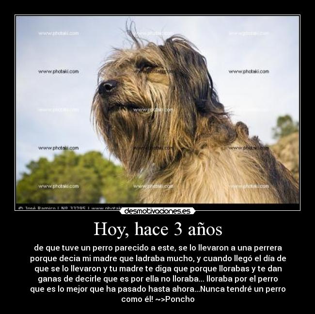 Hoy, hace 3 años -