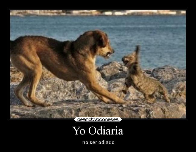 Yo Odiaria - no ser odiado
