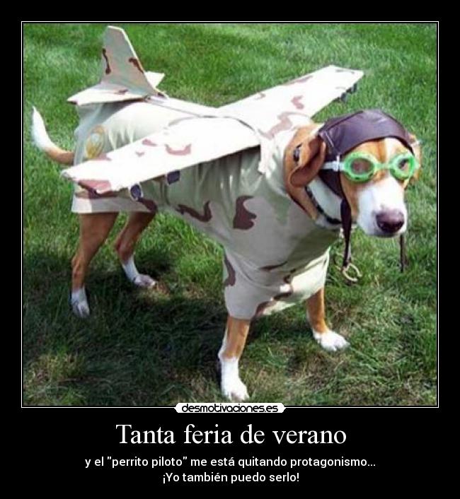 Tanta feria de verano - y el perrito piloto me está quitando protagonismo...
¡Yo también puedo serlo!