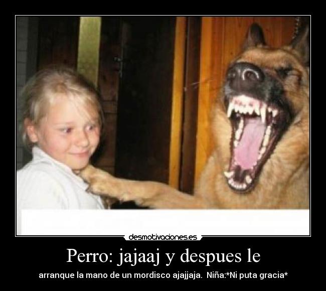 Perro: jajaaj y despues le - 
