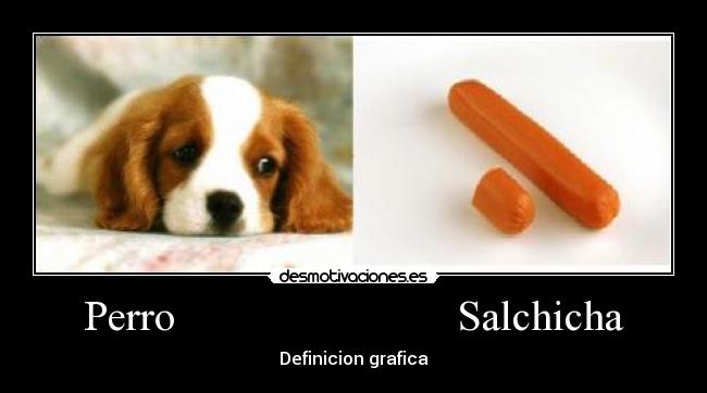 Perro Salchicha - Definicion grafica