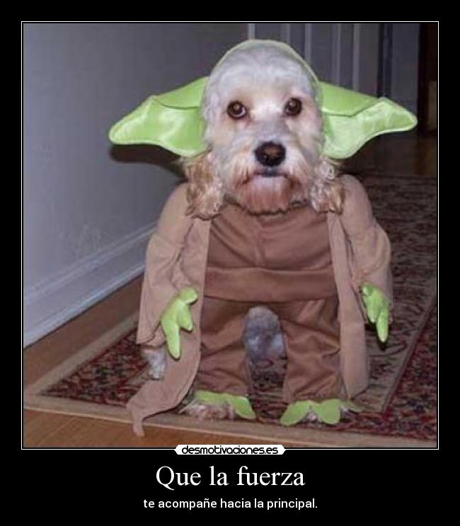 Que la fuerza -