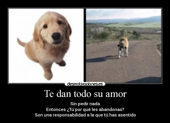 carteles amor perro abandonar desmotivaciones