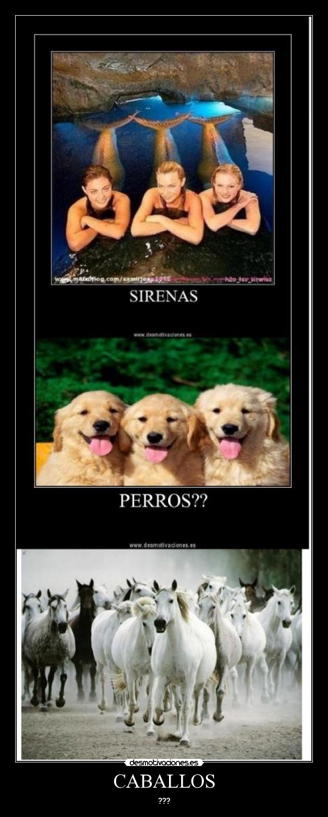 CABALLOS -