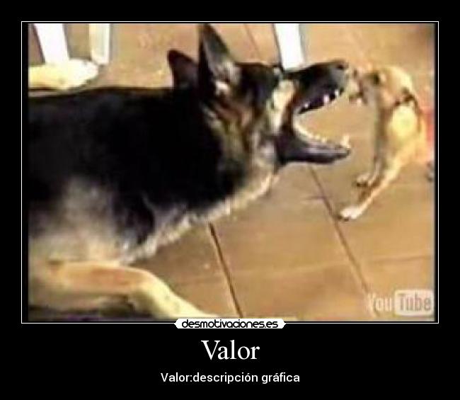 Valor - Valor:descripción gráfica