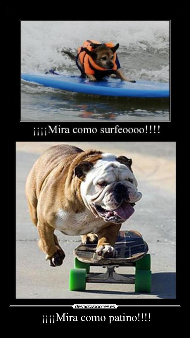 ¡¡¡¡Mira como patino!!!! - 