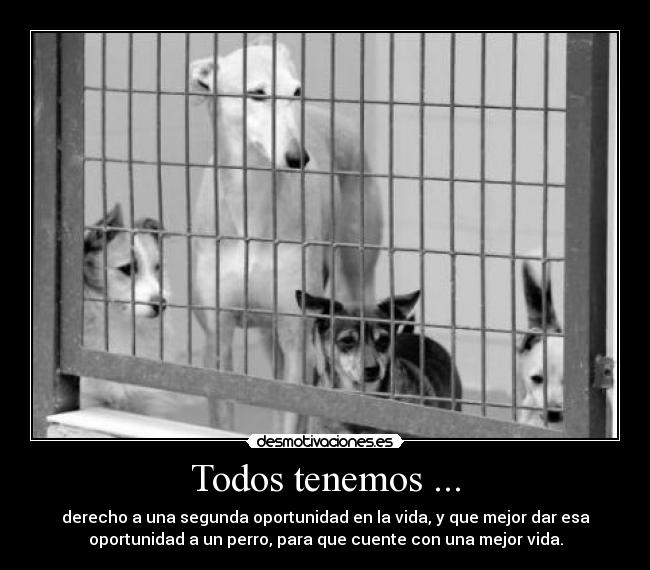 Todos tenemos ... - 