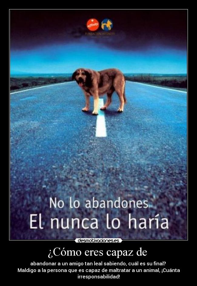 ¿Cómo eres capaz de  - 