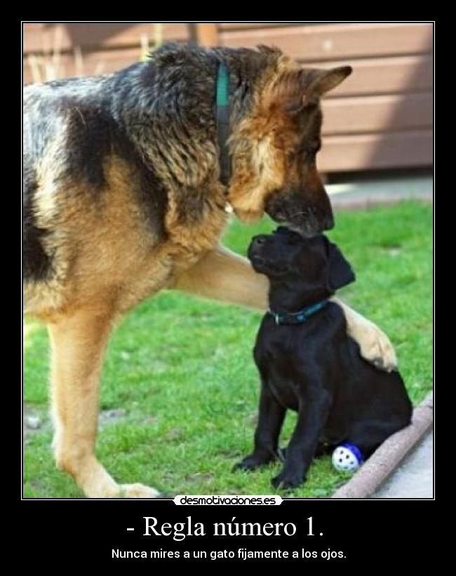 - Regla número 1. -