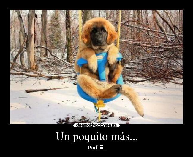 carteles eldeabajoesmejor desmotivaciones