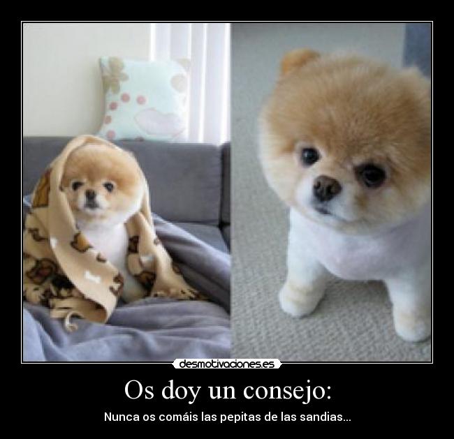 carteles sandias desmotivaciones