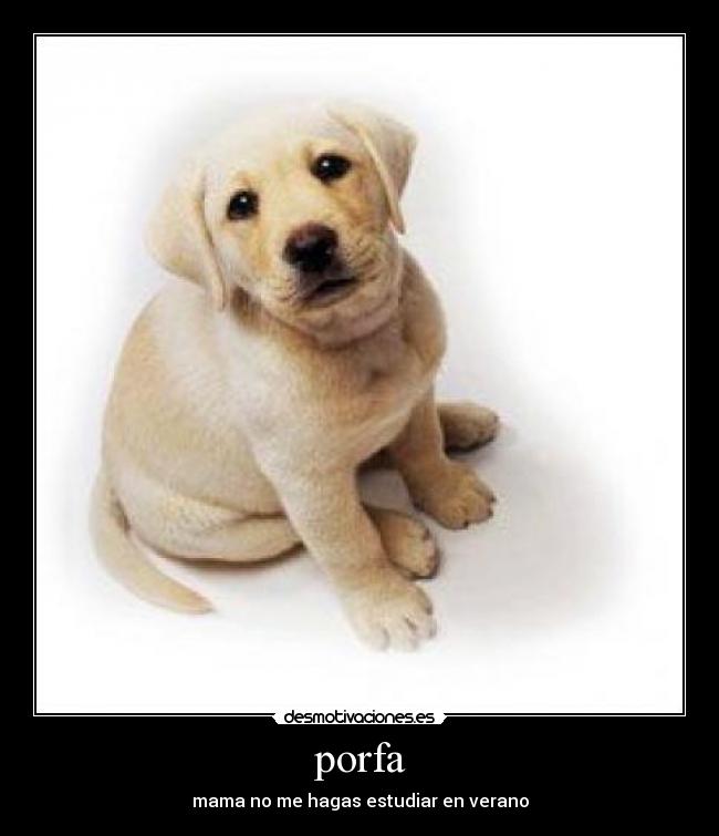 porfa - mama no me hagas estudiar en verano