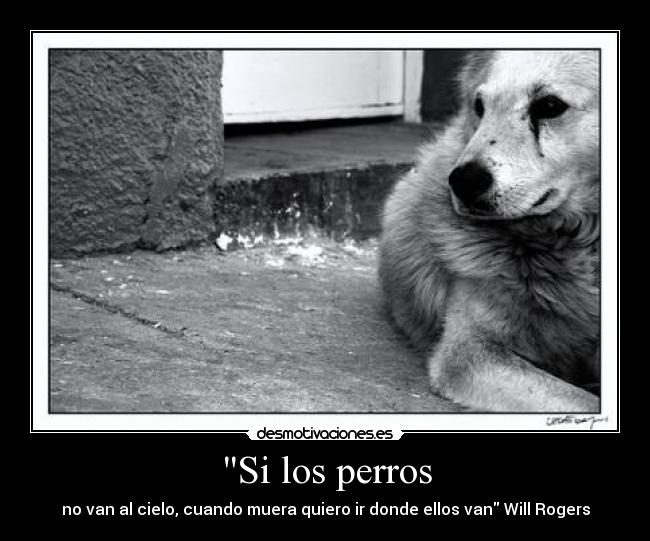 Si los perros - no van al cielo, cuando muera quiero ir donde ellos van Will Rogers