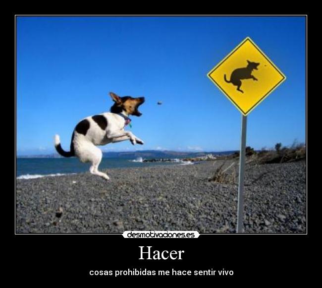 Hacer -