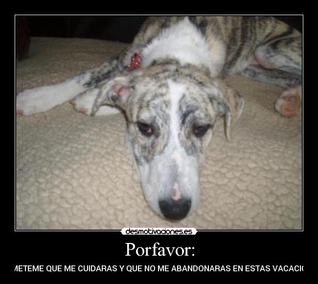 Porfavor: - PROMETEME QUE ME CUIDARAS Y QUE NO ME ABANDONARAS EN ESTAS VACACIONES.