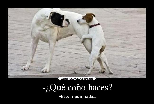 -¿Qué coño haces? - +Esto...nada, nada...