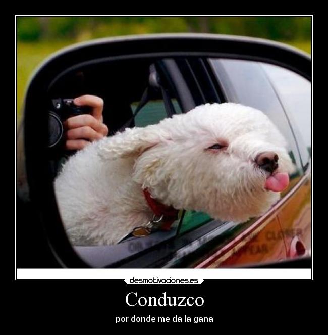 Conduzco - por donde me da la gana