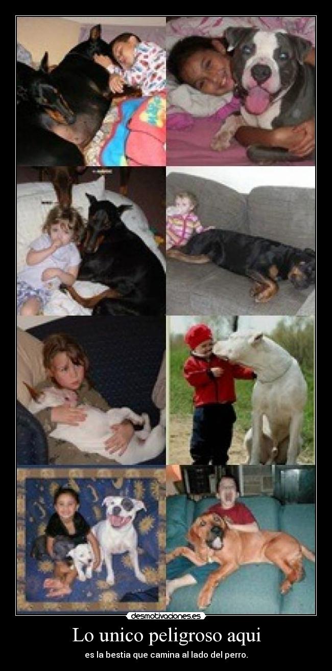 Lo unico peligroso aqui -