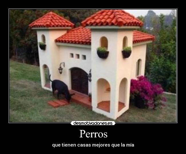 carteles saklhfsalf desmotivaciones