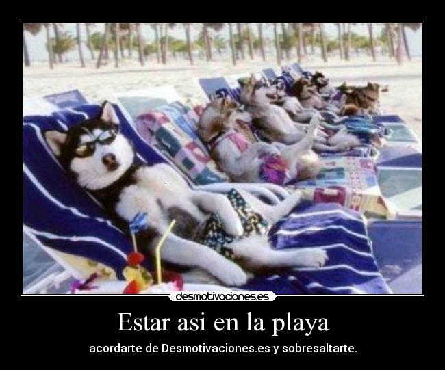 Estar asi en la playa - acordarte de Desmotivaciones.es y sobresaltarte.