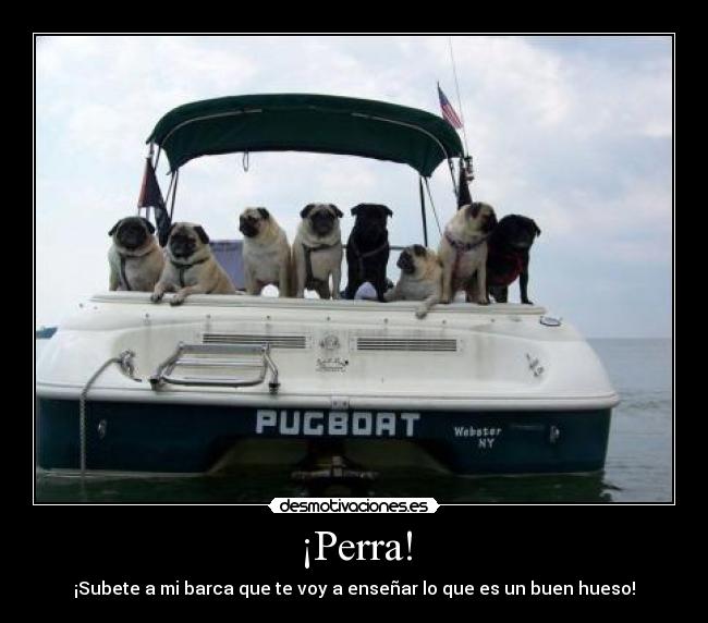 ¡Perra! -