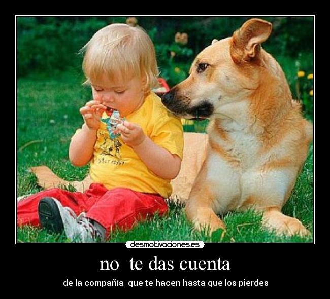 no  te das cuenta - de la compañía  que te hacen hasta que los pierdes