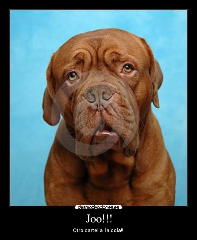 Joo!!! - Otro cartel a la cola!!!