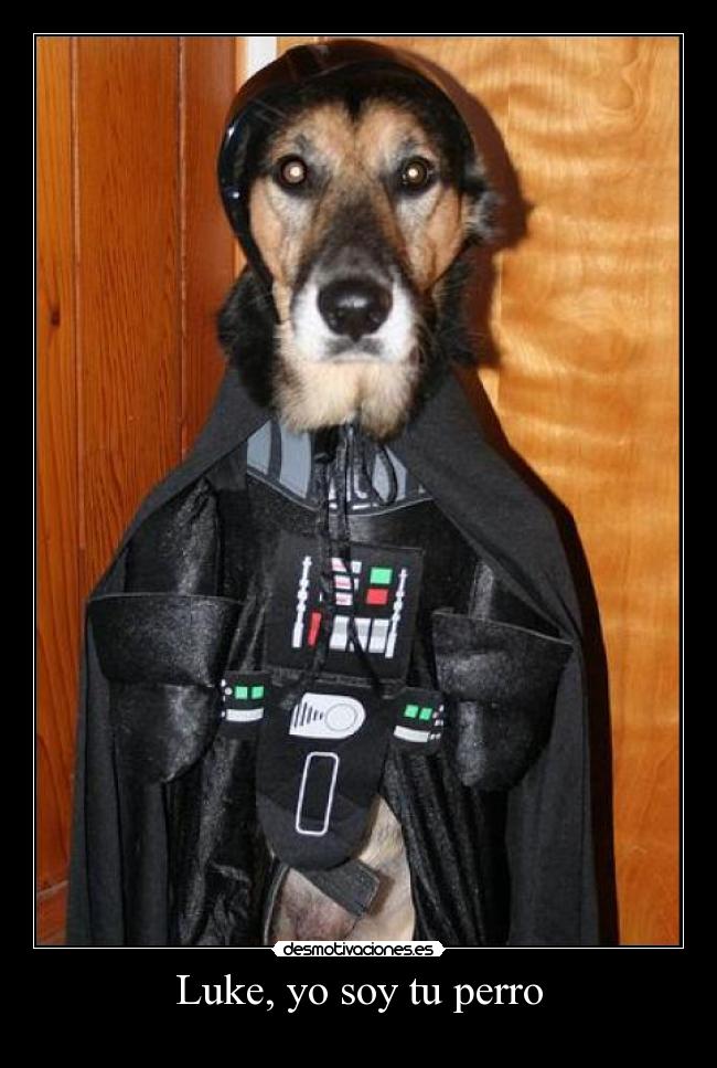 Luke, yo soy tu perro - 